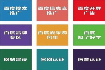 SEM代运营公司助力企业高效推广案例解析